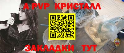 стафф Гай