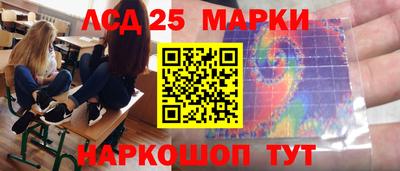 стафф Гай