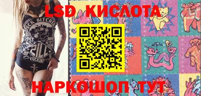 стафф Гай