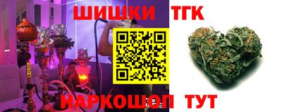 стафф Гай