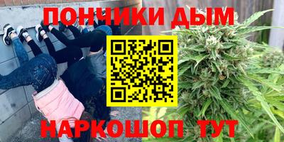 стафф Гай