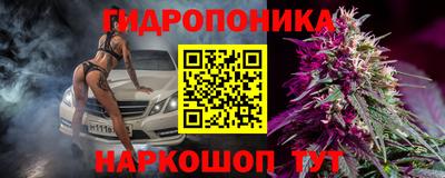 jwh Гатчина