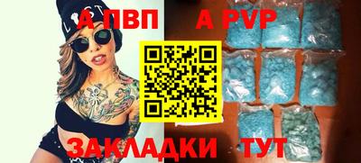 стафф Гай