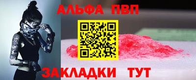 стафф Гай