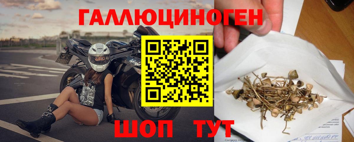 Псилоцибиновые грибы прущие грибы  купить наркотик  Свободный  Вход с VPN 